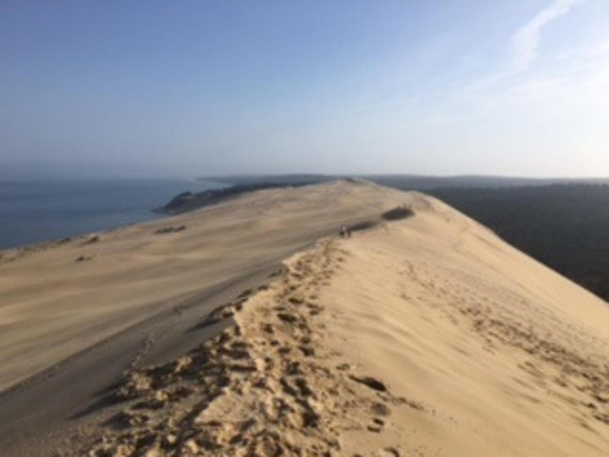 Appartement T2 En Front De Mer A Arcachon, Acces Direct Plage, Parking, Animaux Admis - Fr-1-374-201 ภายนอก รูปภาพ